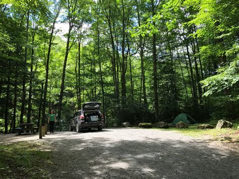 Camping in West Virginia: Best West Virginia Campgrounds 2023 | Hipcamp