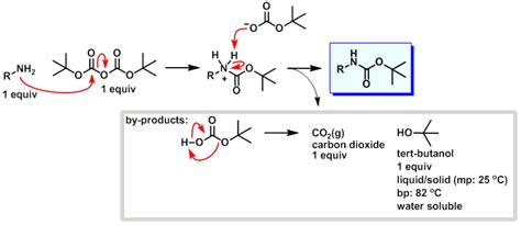 Boc Protection Mechanism (Boc2O)