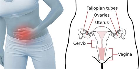 Reasons For Lower Abdominal Pain In Females