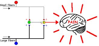 Are you helping or just distracting the CNS? - Cor Kinetic