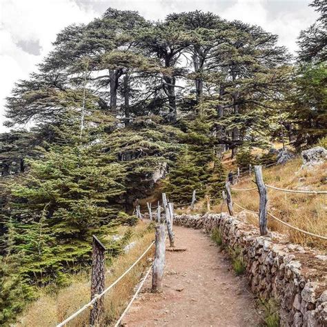 15+ Perfect Hiking Spots In Lebanon For When You Need To Get Away