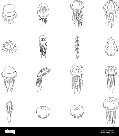 Jellyfish icons set. Isometric set of jellyfish vector icons for web ...