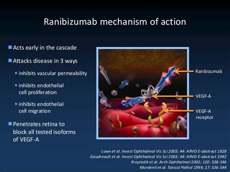 THE ROLE OF ANTI-VEGF THERAPY IN RETINA DISEASES ASSOCIATED WITH MACU…