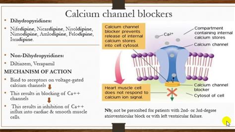 Calcium Channel Blockers Simply Explained Mech.of Action, Side Effects -Quick Ref - YouTube