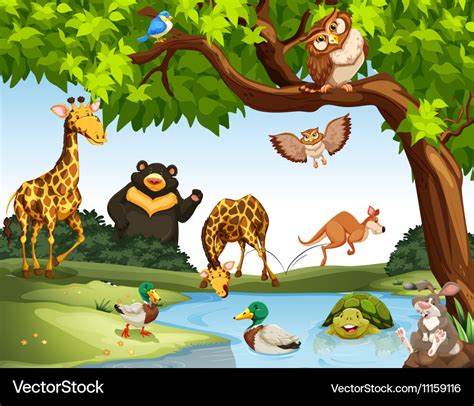 Many wild animals in the park Royalty Free Vector Image