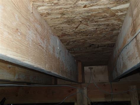 White Mold On Floor Joists - The Floors