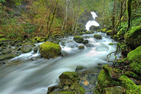 Sooke Potholes – a fabulous spot for a swim in the summer or a hike in every other season ...