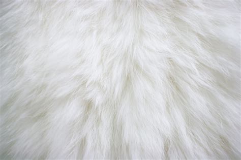 White Fur Texture Seamless