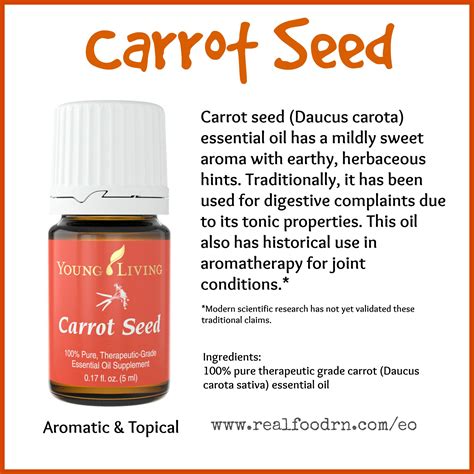 Carrot Seed Essential Oil | Real Food RN