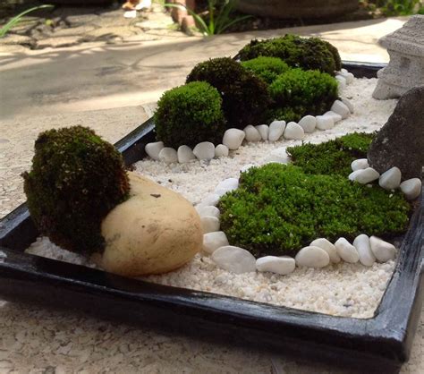 Mini Zen Garden Ideas To Bring Tranquility In Your Home