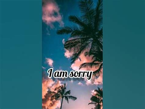 I am sorry song | Lyrics| subscribe| - YouTube