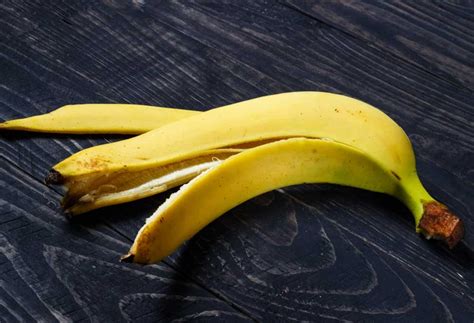 Can Dogs Eat Banana Peels? - PatchPuppy.com