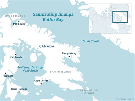 Baffin Bay & Davis Strait – Where We Work – Oceans North