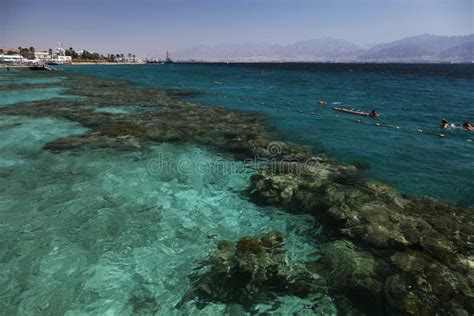 Coral Reef In The Gulf Of Eilat Stock Image - Image of relax, holiday ...