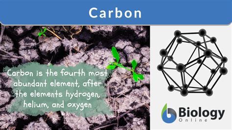 Carbon Definition and Examples - Biology Online Dictionary