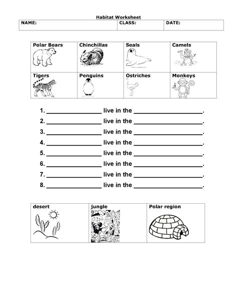 Grade 1 Animals Habitat Worksheet - Thekidsworksheet