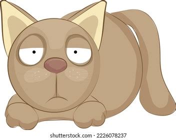 Funny Cat Big Eyes Stock Vector (Royalty Free) 2226078237 | Shutterstock