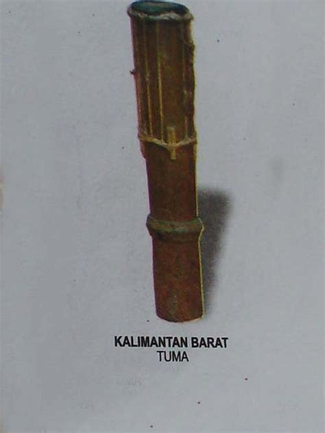 Alat Musik Tradisional Indonesia: Alat Musik Tradisonal Kalimantan ...