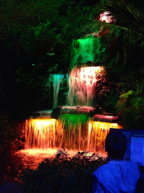 Festival of lights und Pukekura Park in New Plymouth | Julia's Blog aus Neuseeland