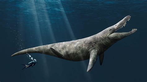 Fossils of Gigantic Pliosaur Uncovered in England | Sci.News