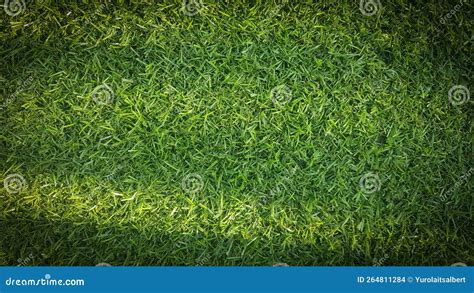 Close Up. a Fragment of a Football Field with Artificial Grass Stock Photo - Image of interior ...