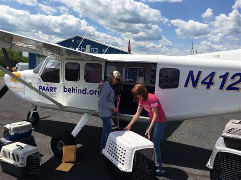 No Dog Left Behind Plane Rescues 13 Dogs From Hoarding Home In Virginia ...