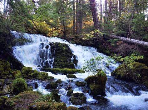 Pearsony Falls | Pearsony Falls | Oregon Waterfalls | Oregon… | Flickr