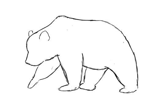 How To Draw A Black Bear Head / Bear Profile Drawing at GetDrawings | Free download - This ...