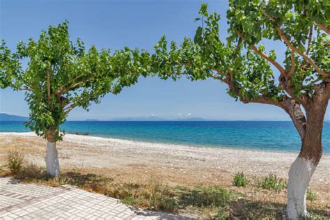 Enjoy the Sun at Poros Beach on Kefalonia Island