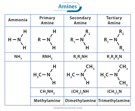 Amines Primary Secondary Tertiary