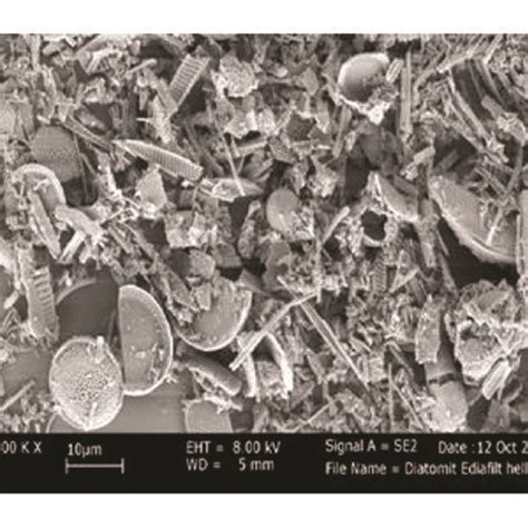 (a) SEM image of porosity structure for diatomite (from Erdőbénye,... | Download Scientific Diagram