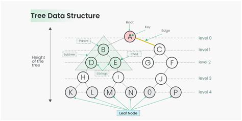 Tree Data Structure - GeeksforGeeks