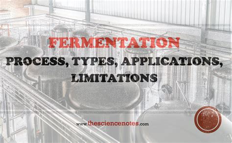 Fermentation: Process, Types, Applications, Limitations