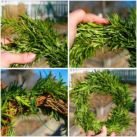 How to Make Rosemary Wreath - A Healthy Life For Me