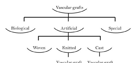 Basic sorting of commercially produced types of vascular grafts ...