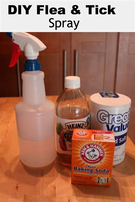 Homemade Flea & Tick Spray for Pets | PEST CONTROL | Pinterest | Flea spray for dogs, Dog flea ...