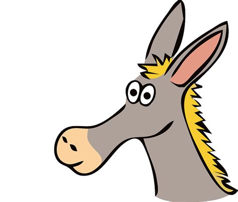 Donkeys For Kids | Donkey Facts | Cool Kid Facts