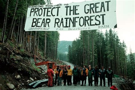 Do environmental advocacy campaigns drive successful forest conservation?