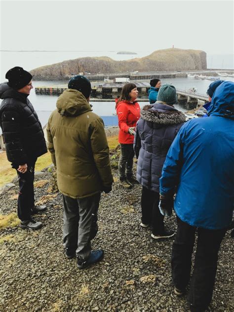 A walk in Stykkishólmur with a local guide | Reykjavik Attractions