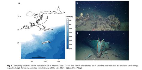 Shipwreck Study Unearths Microbial Diversity on Seafloor | Bureau of ...