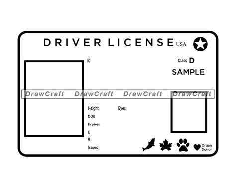 Printable Blank Drivers License Template