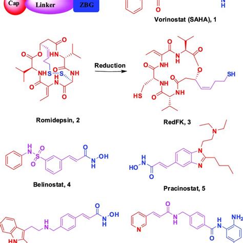 (a and b). Mechanism of action of HDAC inhibitors in oncology ...