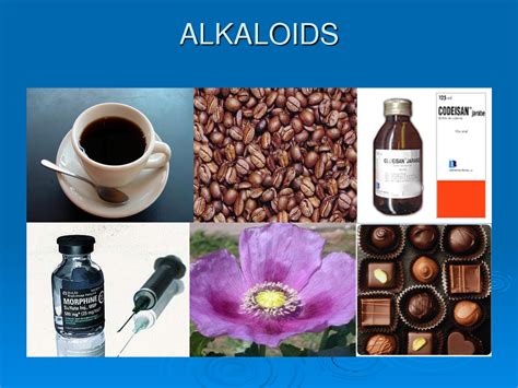 Alkaloids: A Secondary Metabolite : Plantlet