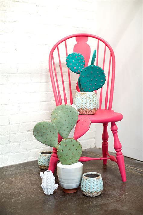 The New Succulent – Cactus Arrangement Inspiration – Accentdecor Blog