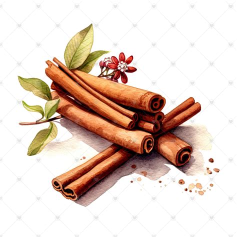 Cinnamon Sticks Clipart Bundle 10 High Quality Watercolor - Etsy