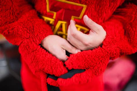 Cy the mascot, ‘D1 Half-lete’ – Iowa State Daily