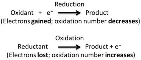 Anaerobic Respiration | Boundless Microbiology