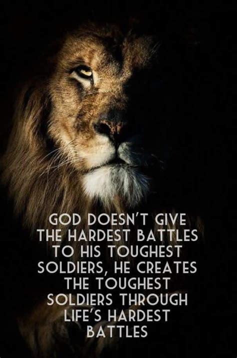 Citation Lion, Image Citation, Faith Quotes, Wisdom Quotes, Bible ...