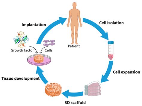 Nanomaterials | Free Full-Text | Fabrication and Plasma Modification of Nanofibrous Tissue ...