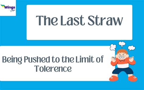 The Last Straw Meaning, Usage With Examples, Synonyms and Quiz | Leverage Edu